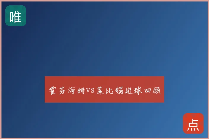 霍芬海姆vs莱比锡进球回顾